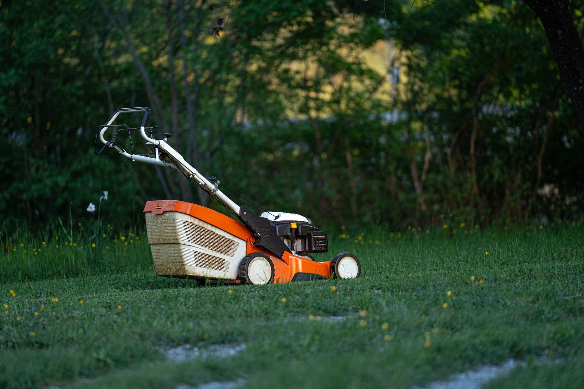 A lawn mower on a green lawn ready for work